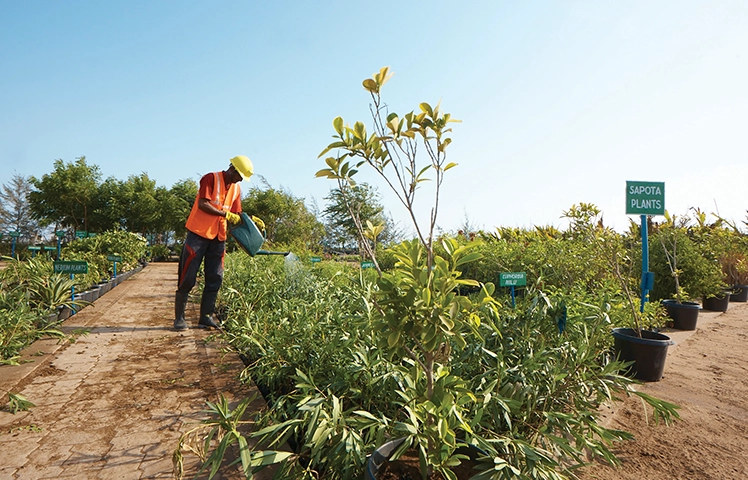 Adani Foundation worker watering a plant nursery